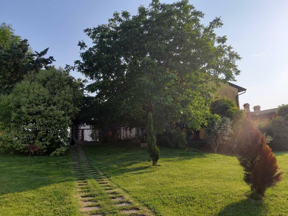 Agriturismo Trebis ヴォルタ・マントヴァーナ エクステリア 写真